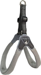 Coralpina Geschirr Cinquetorri Hellgrau – Bild 1 von 7