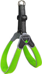 Produktbild von Coralpina Geschirr Cinquetorri Neongrün