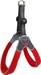 Coralpina Geschirr Cinquetorri Rot Größe 1 – Bild 1 von 2