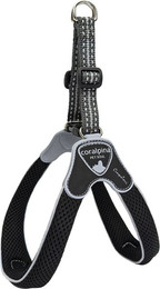 Produktbild von Coralpina Geschirr Cinquetorri Schwarz Größe 8