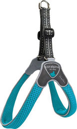 Coralpina Geschirr Cinquetorri Türkis Größe 3 – Bild 1 von 7