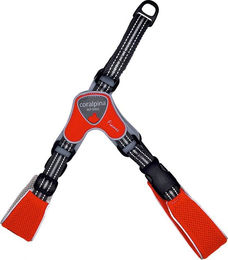 Coralpina Geschirr Fiames Rot - 8 – Bild 1 von 3