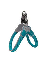 Coralpina Geschirr MINI Türkis - 1 – Bild 1 von 7