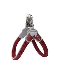 Produktbild von Coralpina Mini-Geschirr Weinrot Größe 1