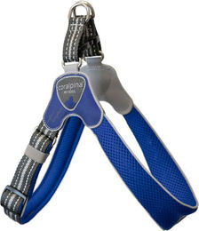 Coralpina verstellbares Geschirr Cinquetorri Blau Größe 2 – Bild 1 von 3