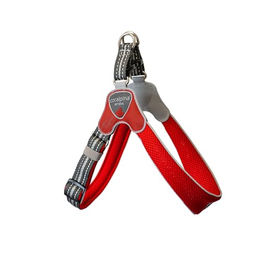 Coralpina verstellbares Geschirr Cinquetorri Rot Größe 3 – Bild 1 von 8