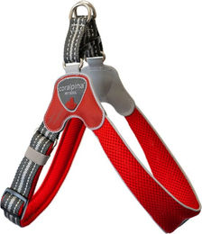 Coralpina verstellbares Geschirr Cinquetorri Rot Größe 6 – Bild 1 von 8