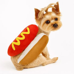 Corimori Hundekostüm Lustiges Hot-Dog Kostüm für Hund & Katze, Wiener – Bild 1 von 6