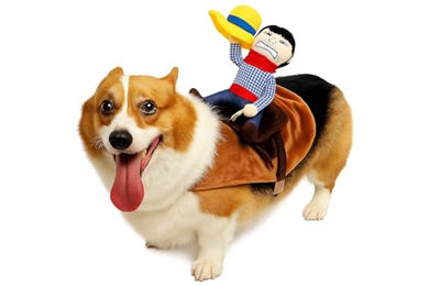 Corimori Hundekostüm Süßes Cowboy-Kostüm für Hund & Katze, lustiges Hunde Western Outfit mit Sattel & Figur – mit Klettverschluss – Bild 1 von 6
