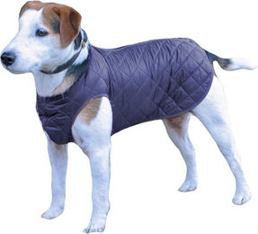 Produktbild von Cosipet Regenfester Step-In-Anzug für Hunde