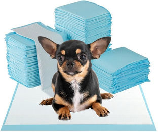 COSTWAY Hundetoilette, Hunde Trainingsunterlagen, Hundematte, 300 Stück – Bild 1 von 5