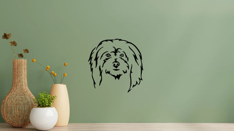 Produktbild von Coton de Tulear Kopf Wandtattoo Wandbild Wandsticker Wandaufkleber Wanddekoration
