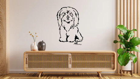 Produktbild von Coton de Tulear Wandtattoo Wandbild Wandsticker Wandaufkleber Wanddekoration