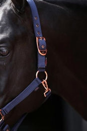 Produktbild von Covalliero Halfter Classy Navy Pony