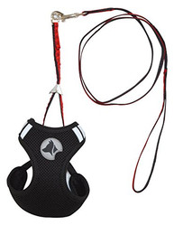 Produktbild von Croci Hiking Geschirr für Hunde