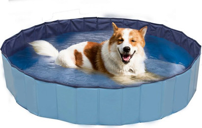 Produktbild von Croci Hunde Pool Explorer 160x30 cm