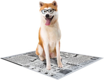 Produktbild von Croci Super Nappy Newspaper Hundematte 57x54 cm