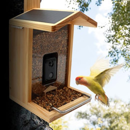 Produktbild von Croci WiFi Vogelfutterstation mit Solarpanel und HD-Kamera