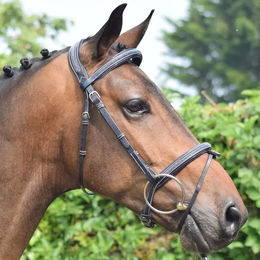 Produktbild von Crystal Trensen Jump'In Collection Week