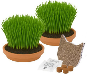 Produktbild von CULTZEN Katzen-Kletterwand Katzengras-Anzuchtset mit Keramikschalen und Kratzbrett