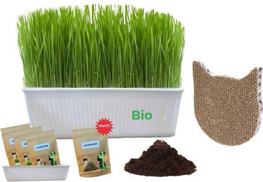 Produktbild von CULTZEN Napf-Set mit Bio-Katzengras-Samen und Katzenminze - 3 x 40 g