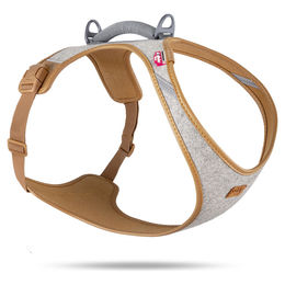 Curli Alpine Belka Geschirr, grau - Größe XL: Brustumfang 55,5 - 62,7 cm – Bild 1 von 8