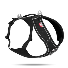 Produktbild von Curli Belka Basic Hundegeschirr, schwarz - Größe 3XL: Brustumfang 70,2 – 78,9 cm