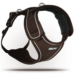 Produktbild von Curli Belka Geschirr Braun L - 1 Stk.