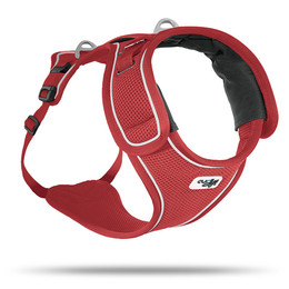 Produktbild von Curli Belka Geschirr L - 1 Stk.