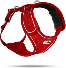 Produktbild von Curli Belka Harness Rot M - 1 Stk.