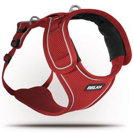 Produktbild von Curli Belka Hundegeschirr XL Rot - 1 Stk.