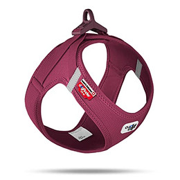 Produktbild von curli Clasp AirMesh Hundegeschirr Ruby XL