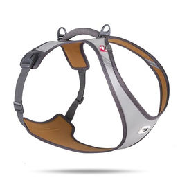 Curli Glow Belka Geschirr, grau - Größe XL: Brustumfang 55,5 - 62,7 cm – Bild 1 von 7