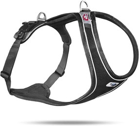 Produktbild von curli Magnetic Belka Comfort Geschirr schwarz Größe M