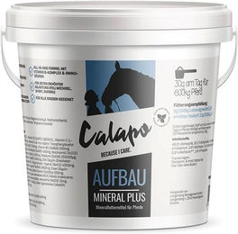 Produktbild von CALAPO Horse Aufbau Mineral Plus Mineralfutter für Pferde zur Unterstützung von Haut und Fell 1000g