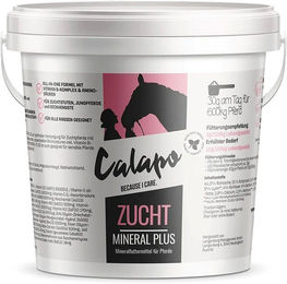 Produktbild von Calapo Horse Zucht Mineral Plus Ergänzungsfutter für Pferde Zucht und Aufzucht 1000g
