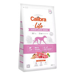 Produktbild von Calibra Dog Life Junior Large Breed Trockenfutter Lamm für Welpen großer Rassen hypoallergen 2,5 kg - 2,5 kg