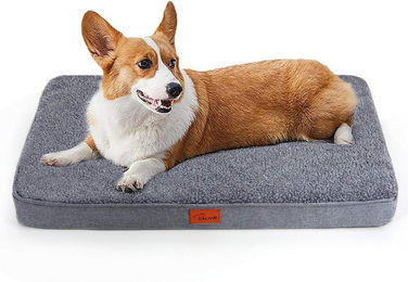 CALIYO Orthopädisches Hundebett für große Hunde mit Memory Foam in Dunkelgrau Waschbar – Bild 1 von 5