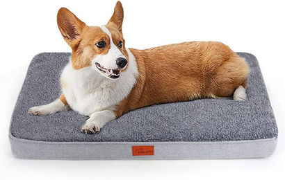 CALIYO Orthopädisches Hundebett für große Hunde mit Memory Foam in Dunkelgrau, Waschbares Hundekissen aus Flanell-Fleece – Bild 1 von 5
