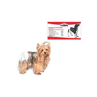 Produktbild von Camon Hundewindeln absorbierend Größe L 12 Stück