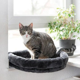 Canadian Cat Company Katzenliege Loveseat Fensterbett aus Plüsch in Anthrazit – Bild 1 von 13