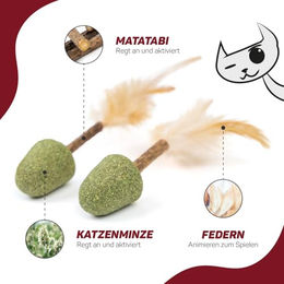 Canadian Cat Company Katzenminze Spielzeug Set mit Matatabi Sticks und Feder aus Naturmaterial in Grün – Bild 1 von 3