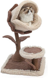 Canadian Cat Company Kratzbaum Bloom mit gepolstertem Katzen Kuschelbett 60 x 60 x 106 cm – Bild 1 von 4