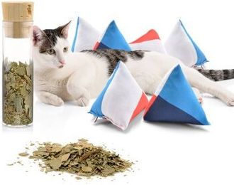 CanadianCat Company 6er Set Schmuse-Pyramide XL Nordic 4-Color Katzenkissen mit Katzenminze – Bild 1 von 13