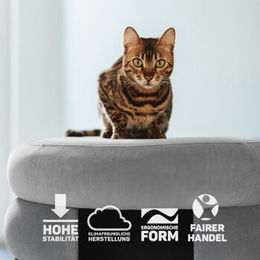 CanadianCat Company Katzenhöhle Choupette Katzenbett aus Bouclé Grau XL – Bild 1 von 5