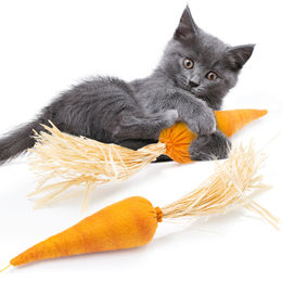 CanadianCat Company Katzenkissen Karotte mit Catnip handgefertigtes Stoff-Spielzeug für Katzen - 5 g – Bild 1 von 3