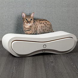 CanadianCat Company Kratzbrett Set Orbit+Satellite 2.0 White Edition aus Kratzpappe für Katzen in Weiß – Bild 1 von 12