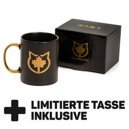 CanadianCat Company Kratzbrett Set Satellite 2.0 mit Kratzpappe und Tasse in Schwarz und Gold für Katzen – Bild 1 von 4