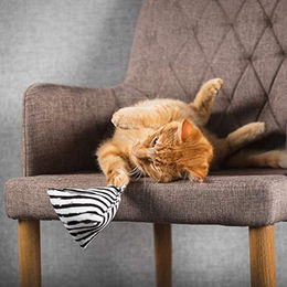 CanadianCat Company Schmusekissen Pyramide XL Zig-Zag mit Baldrian für Katzen – Bild 1 von 7