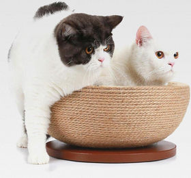 CanadianCat Kratzschale für Katzen aus Sisal in Beige 45 x 45 x 16 cm – Bild 1 von 1